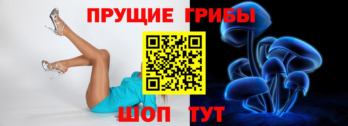 Галлюциногенные грибы GOLDEN TEACHER Реутов